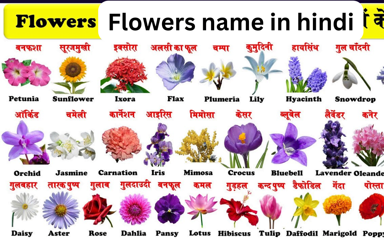 Flowers Name in Hindi हिंदी में